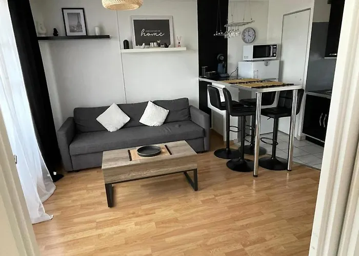 Appartement Rose T2, Climatisation,parking Prive, Piscine, Wifi , Confort Toulouse