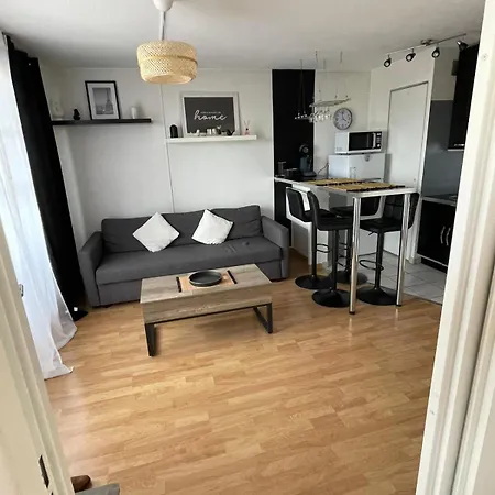 Appartamento Rose T2, Climatisation,parking Privé, Piscine, Wifi , Confort Tolosa