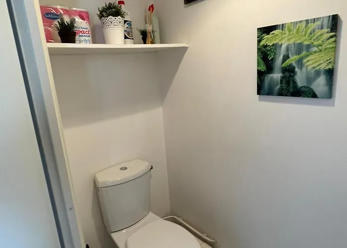 Rose T2, Climatisation,parking Prive, Piscine, Wifi , Confort * Toulouse