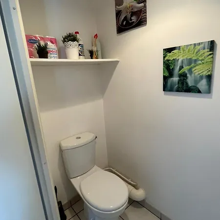 Rose T2, Climatisation,parking Prive, Piscine, Wifi , Confort * Tolosa